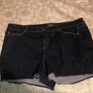 Brand new with tags torrid shorts
